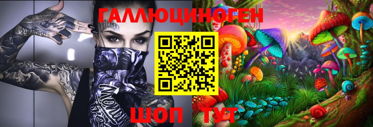 Псилоцибиновые грибы GOLDEN TEACHER  Вход с VPN  Ростов-на-Дону 